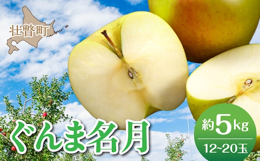 【先行予約】北海道壮瞥町産りんご「ぐんま名月」約5kg(12～20玉)<2026年11月中旬よりお届け> SBTF013