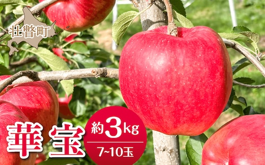 【先行予約】＜2026年10月上旬よりお届け＞北海道壮瞥町 りんご 品種名「華宝」7～10玉約3kg SBTF014