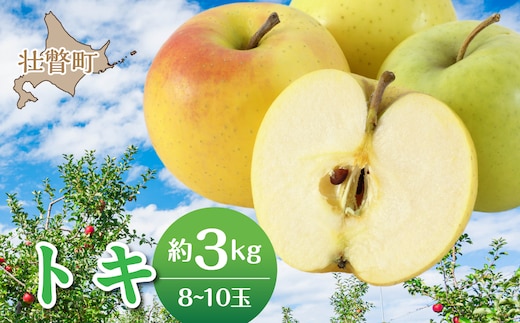 【先行予約】＜2026年10月中旬よりお届け＞北海道壮瞥町 りんご 品種名「トキ」8～10玉約3kg SBTF016