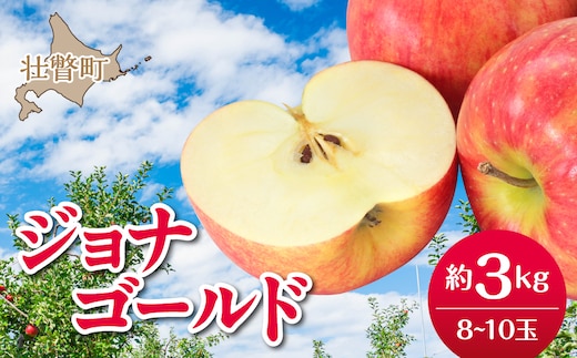 【先行予約】＜2026年10月下旬よりお届け＞北海道壮瞥町 りんご 品種名「ジョナゴールド」8～10玉約3kg SBTF018