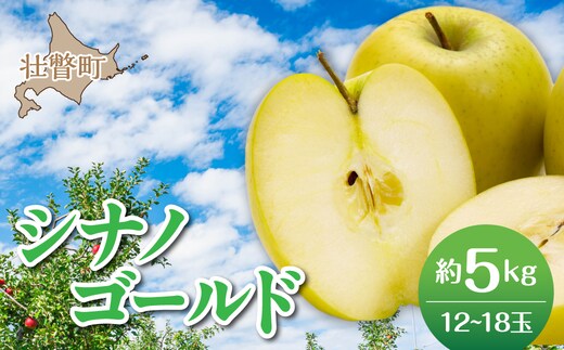 【先行予約】＜2026年11月上旬よりお届け＞北海道壮瞥町 りんご 品種名「シナノゴールド」8～10玉約5kg SBTF021