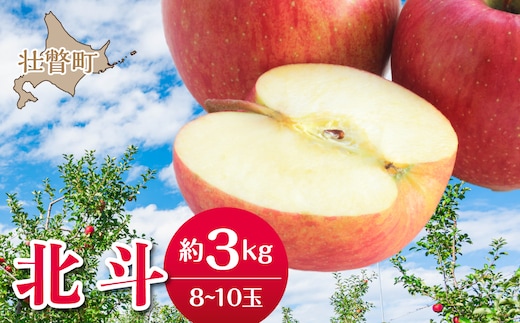 【先行予約】＜2026年11月中旬よりお届け＞北海道壮瞥町 りんご 品種名「北斗」8～10玉約3kg SBTF022