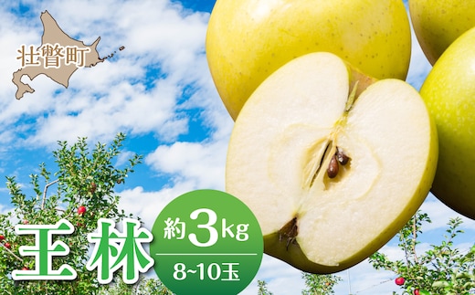 【先行予約】＜2026年11月中旬よりお届け＞北海道壮瞥町 りんご 品種名「王林」8～10玉約3kg SBTF024