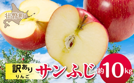 【先行予約】＜2026年12月上旬よりお届け＞北海道壮瞥町 訳ありりんご 品種名「サンふじ」約10kg SBTF030