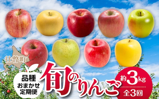 【先行予約】＜10･11･12月お届け＞北海道壮瞥町 旬のりんご約3kg おまかせ定期便 SBTF031