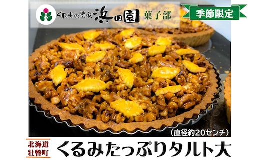 ＜2025年12月10日頃よりお届け＞くるみたっぷりタルト大(直径約20cm) SBTI004