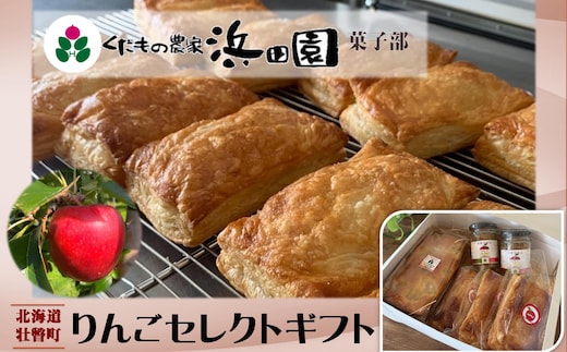浜田園菓子部の「りんご」セレクトギフト SBTI006