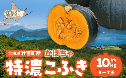 〈10月上旬よりお届け〉北海道壮瞥町産 かぼちゃ 特濃こふき5～7玉 約10㎏ SBTL019