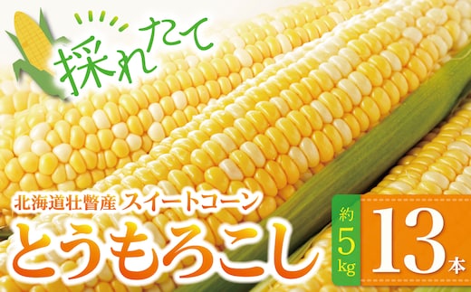 ＜2026年8月上旬よりお届け＞北海道壮瞥産 とうもろこし（スイートコーン）13本 約5kg SBTN001