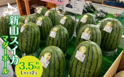 ＜2026年8月上旬よりお届け＞北海道壮瞥産 新山すいか 小玉すいか（マダーボール）Lサイズ2玉 スイカ SBTN002