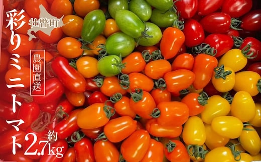 ＜2026年7月上旬よりお届け＞【農園直送】北海道壮瞥産 彩りミニトマト約2.7kg SBTO004