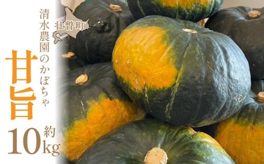 ＜2026年9月初旬よりお届け＞【農園直送】清水農園のかぼちゃ(甘旨）約10kg (4～6玉) SBTO013