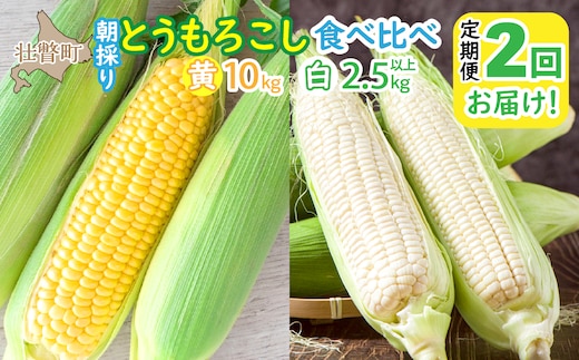 北海道壮瞥町 2回 定期便 8月上旬・8月下旬朝採り！産地直送 北海道壮瞥町産 とうもろこし黄・白 食べ比べ SBTP011