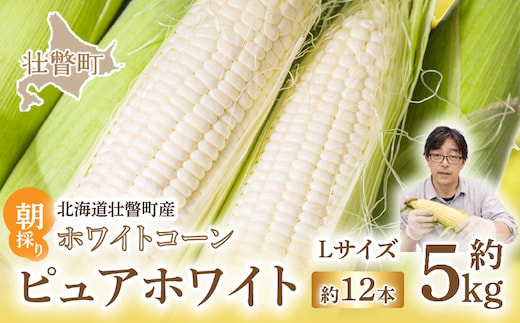 ＜2026年8月中旬よりお届け＞【朝採り】北海道壮瞥町 ホワイトコーン「ピュアホワイト」Lサイズ以上12本(約5kg) SBTQ003