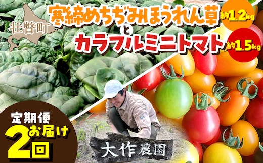 ＜2026年12月・2027年8月お届け＞大作農園 寒締めちぢみほうれん草約1.2kg・カラフルミニトマト約1.5kg 2回お届け定期便 SBTR006