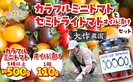 ＜2026年7月上旬よりお届け＞北海道壮瞥産 大作農園の「カラフルミニトマト」約500g（5種以上）とセミドライトマトオイル漬け1瓶（110g）のセット SBTR008