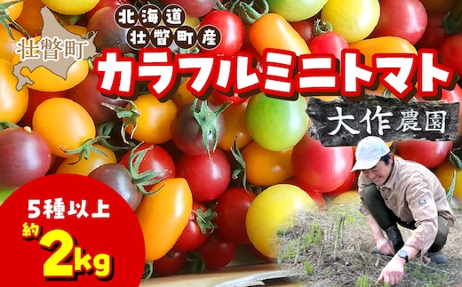 【先行予約】【2027年7月より発送】カラフルミニトマト約2kg(5種以上) 大作農園 北海道壮瞥町 SBTR012