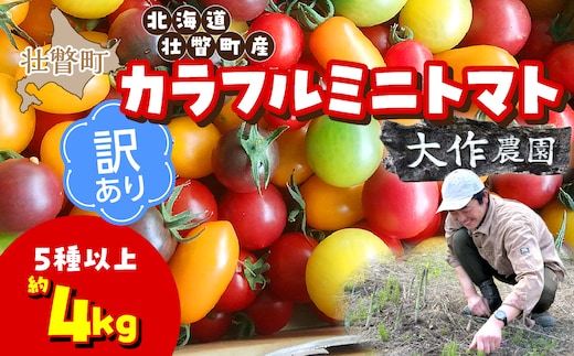 【先行予約】【2027年7月より発送】【訳あり】カラフルミニトマト約4kg(5種以上) 大作農園 北海道壮瞥町 SBTR015