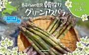 【2026年予約】朝採りグリーンアスパラ（春芽）M-L混合 約3kg 北海道壮瞥町産 SBTAJ035