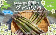 【2026年予約】朝採りグリーンアスパラ（春芽）M-L混合 約4kg 北海道壮瞥町産 SBTAJ036