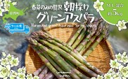 【2026年予約】朝採りグリーンアスパラ（春芽）M-L混合 約5kg 北海道壮瞥町産 SBTAJ037