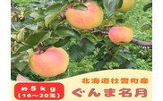 【先行予約】 ぐんま名月 約5kg <2026年11月中旬頃～発送予定> SBTB014