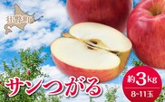 【先行予約】北海道壮瞥町産りんご「サンつがる」約3kg(8～11玉)<2026年9月下旬よりお届け> SBTF001