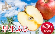【先行予約】北海道壮瞥町産りんご「早生ふじ」約3kg(8～10玉)<2026年10月中旬よりお届け> SBTF002