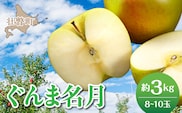 【先行予約】北海道壮瞥町産りんご「ぐんま名月」約3kg(8～10玉)<2026年11月中旬よりお届け> SBTF004