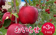 【先行予約】北海道壮瞥町産りんご「おいらせ」約3kg(7～10玉)<2026年11月初旬にお届け> SBTF005