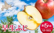 【先行予約】北海道壮瞥町産りんご「早生ふじ」約5kg(12～18玉)<2026年10月中旬よりお届け> SBTF009