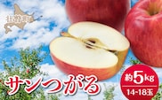 【先行予約】北海道壮瞥町産りんご「サンつがる」約5kg(14～18玉)<2026年9月下旬よりお届け> SBTF010