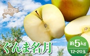 【先行予約】北海道壮瞥町産りんご「ぐんま名月」約5kg(12～20玉)<2026年11月中旬よりお届け> SBTF013