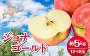 【先行予約】＜2026年10月下旬よりお届け＞北海道壮瞥町　りんご　品種名「ジョナゴールド」12～18玉約5kg SBTF019