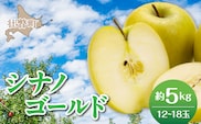 【先行予約】＜2026年11月上旬よりお届け＞北海道壮瞥町　りんご　品種名「シナノゴールド」8～10玉約5kg SBTF021
