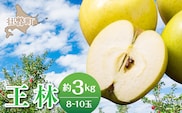 【先行予約】＜2026年11月中旬よりお届け＞北海道壮瞥町　りんご　品種名「王林」8～10玉約3kg SBTF024