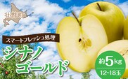 北海道壮瞥町　りんご(スマートフレッシュ)　品種名「シナノゴールド」12～18玉約5kg　SBTF026
