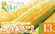 ＜2026年8月上旬よりお届け＞北海道壮瞥産 とうもろこし（スイートコーン）13本 約5kg SBTN001