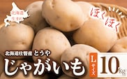 ＜2026年9月下旬よりお届け＞北海道壮瞥町産じゃがいも（とうや）Lサイズ約10kg SBTN005