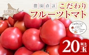 ＜2026年6月下旬よりお届け＞高糖度フルーツトマト　20玉以上【農園直送】北海道壮瞥産 SBTO003