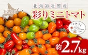 ＜2026年7月上旬よりお届け＞カラフルミニトマト約2.7kg 【農園直送】北海道壮瞥産 SBTO004