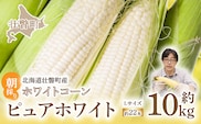 ＜2026年8月中旬よりお届け＞【朝採り】北海道壮瞥町　ホワイトコーン「ピュアホワイト」Lサイズ以上22本（約10kg） SBTQ002
