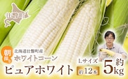 ＜2026年8月中旬よりお届け＞【朝採り】北海道壮瞥町 ホワイトコーン「ピュアホワイト」Lサイズ以上12本(約5kg) SBTQ003