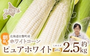 ＜2026年8月中旬よりお届け＞【朝採り】北海道壮瞥町産　ホワイトコーン「ピュアホワイト」Lサイズ以上6本（約2.5kg） SBTQ004