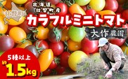 ＜2026年7月上旬よりお届け＞北海道壮瞥産 大作農園のカラフルミニトマト約1.5kg(5種以上) SBTR002