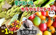 ＜2026年7月上旬よりお届け＞北海道壮瞥町産　大作農園「夏アスパラとカラフルミニトマト」のセット約1kg 先行予約 SBTR004