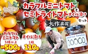 ＜2026年7月上旬よりお届け＞北海道壮瞥産 大作農園の「カラフルミニトマト」約500g（5種以上）とセミドライトマトオイル漬け1瓶（110g）のセット SBTR008