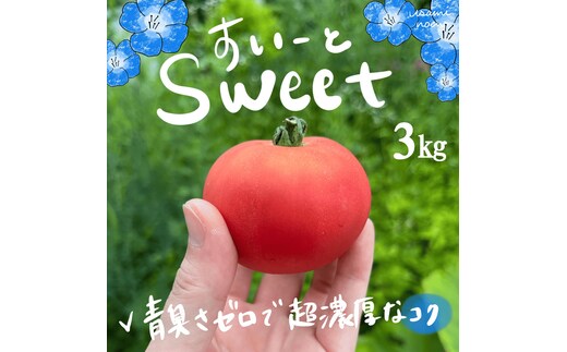 【2026年予約】極旨トマトクール便 北海道壮瞥町産 スイート3kg 中玉トマト SBTAJ019