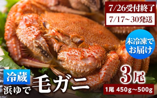 ★期間限定★ 浜ゆで！毛ガニ 約400g～450g×3尾 チルド配送 7/17~7/30発送【斉藤水産】 北海道 冷蔵 チルド 毛蟹 カニ かに 白老 前浜