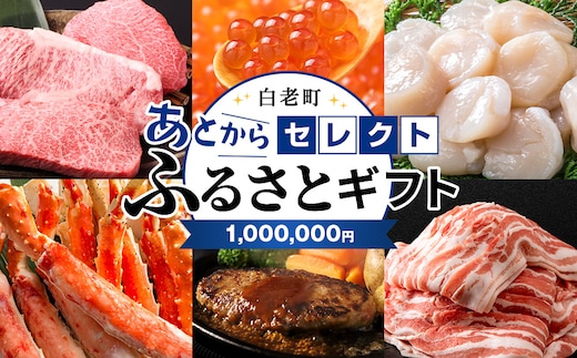 あとからセレクト 【ふるさとギフト】《1,000,000円分》